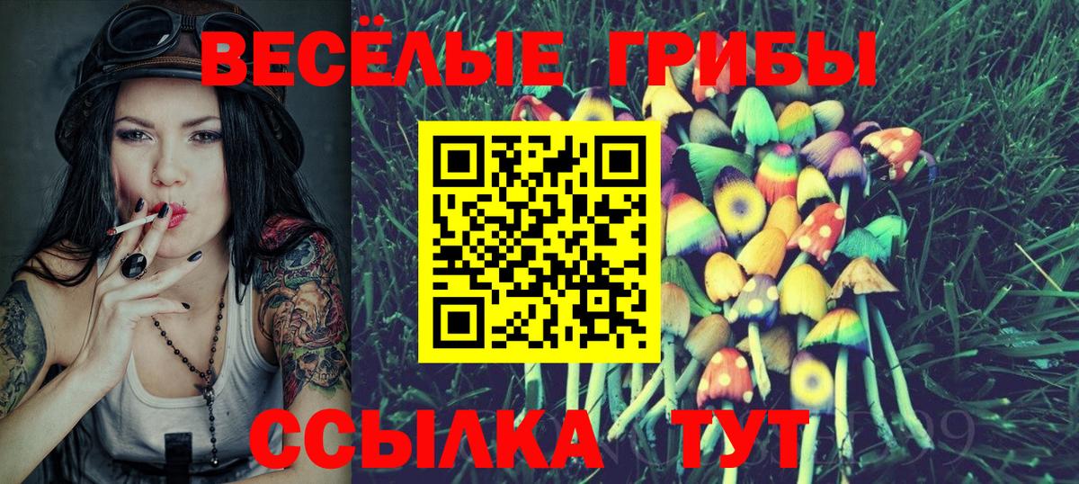 Псилоцибиновые грибы Cubensis  Галлюциногенные грибы прущие грибы  Шебекино  Вход с VPN 